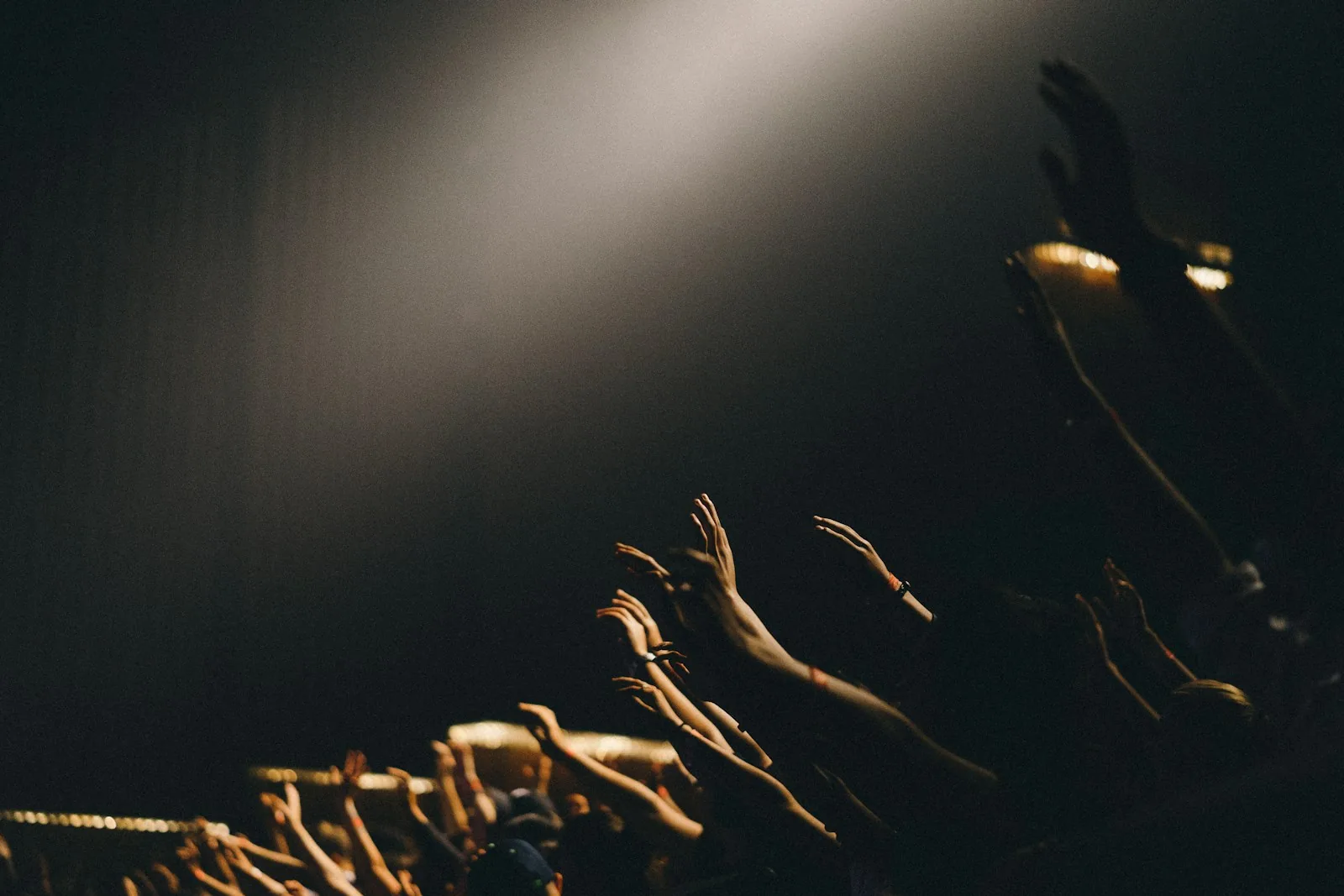 Compassionate therapy connection in Tampa
